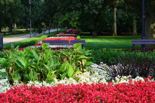 Zdrojowy Park i Świnoujście